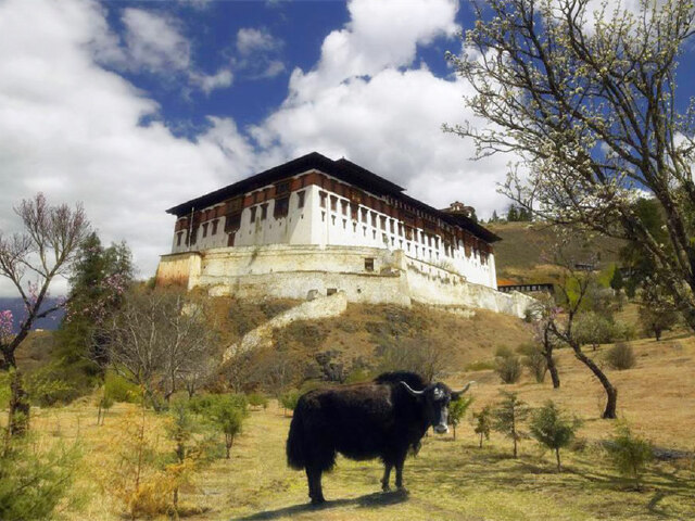 帕罗宗坐落于山崖之上,其中珍藏着不丹的珍宝——唐卡滕德,它是一幅